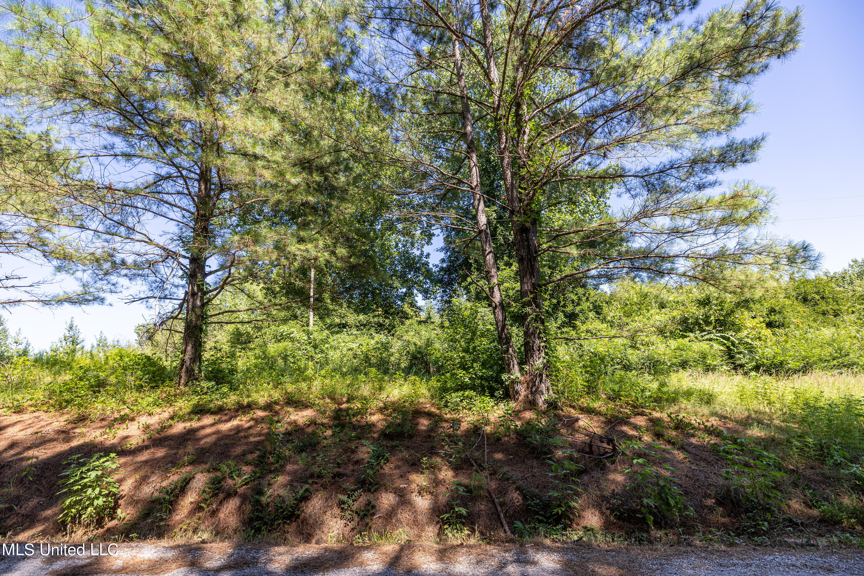 803 McCauley Road Holly Springs, MS 38635 - Photo 14 of 14 Mcauley-1