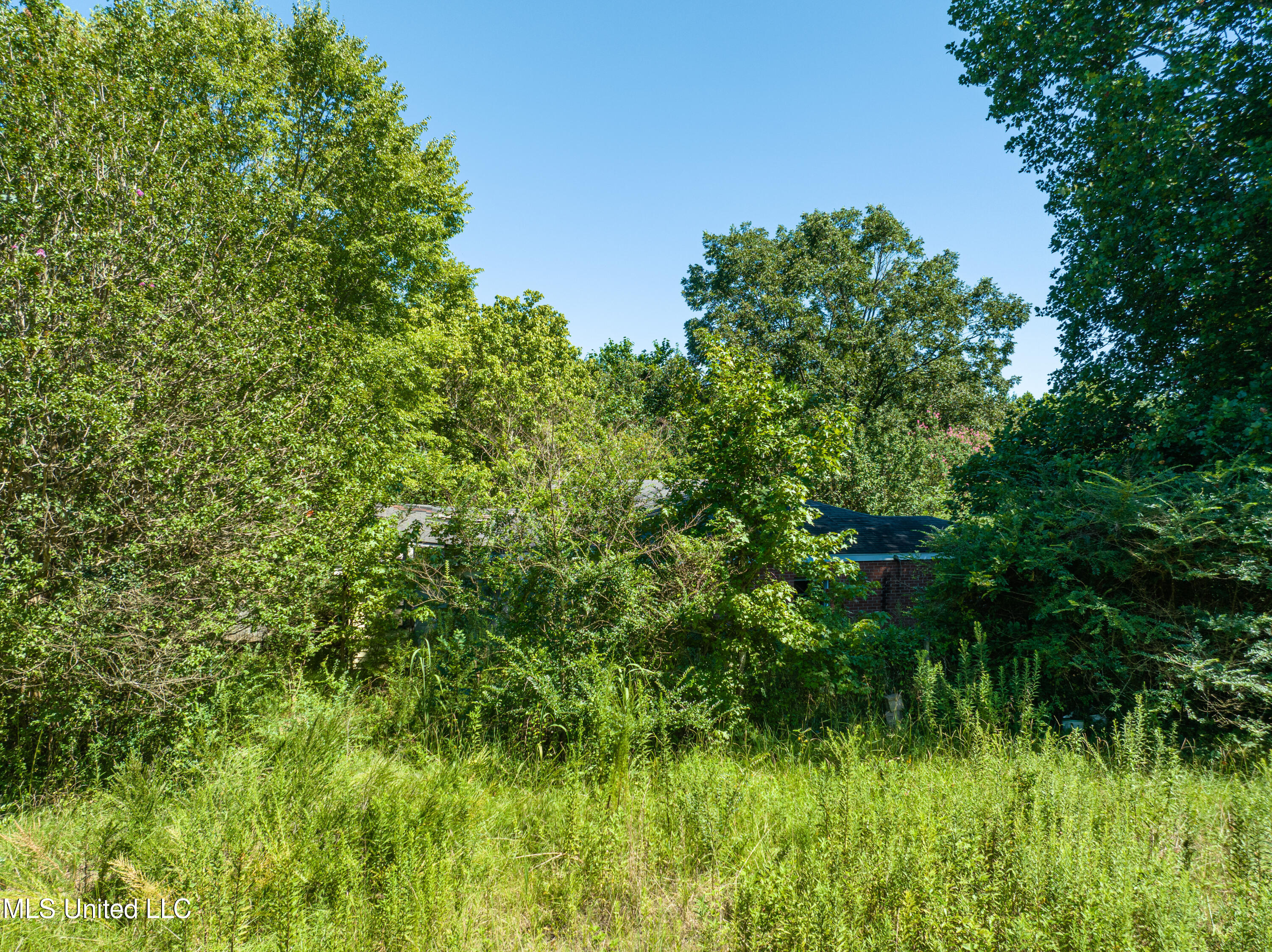 803 McCauley Road Holly Springs, MS 38635 - Photo 5 of 14 Mcauley-11