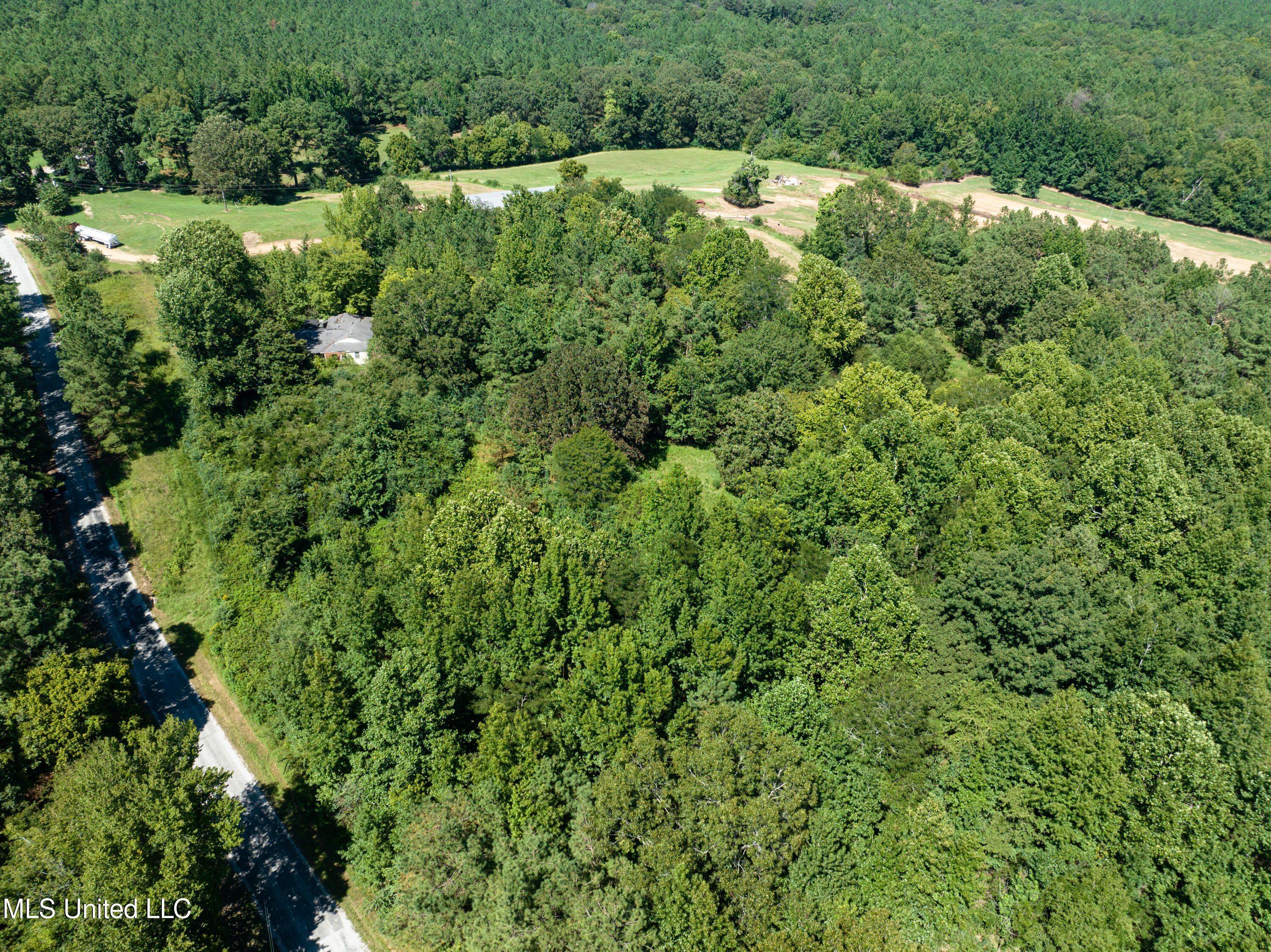 803 McCauley Road Holly Springs, MS 38635 - Photo 9 of 14 Mcauley-4