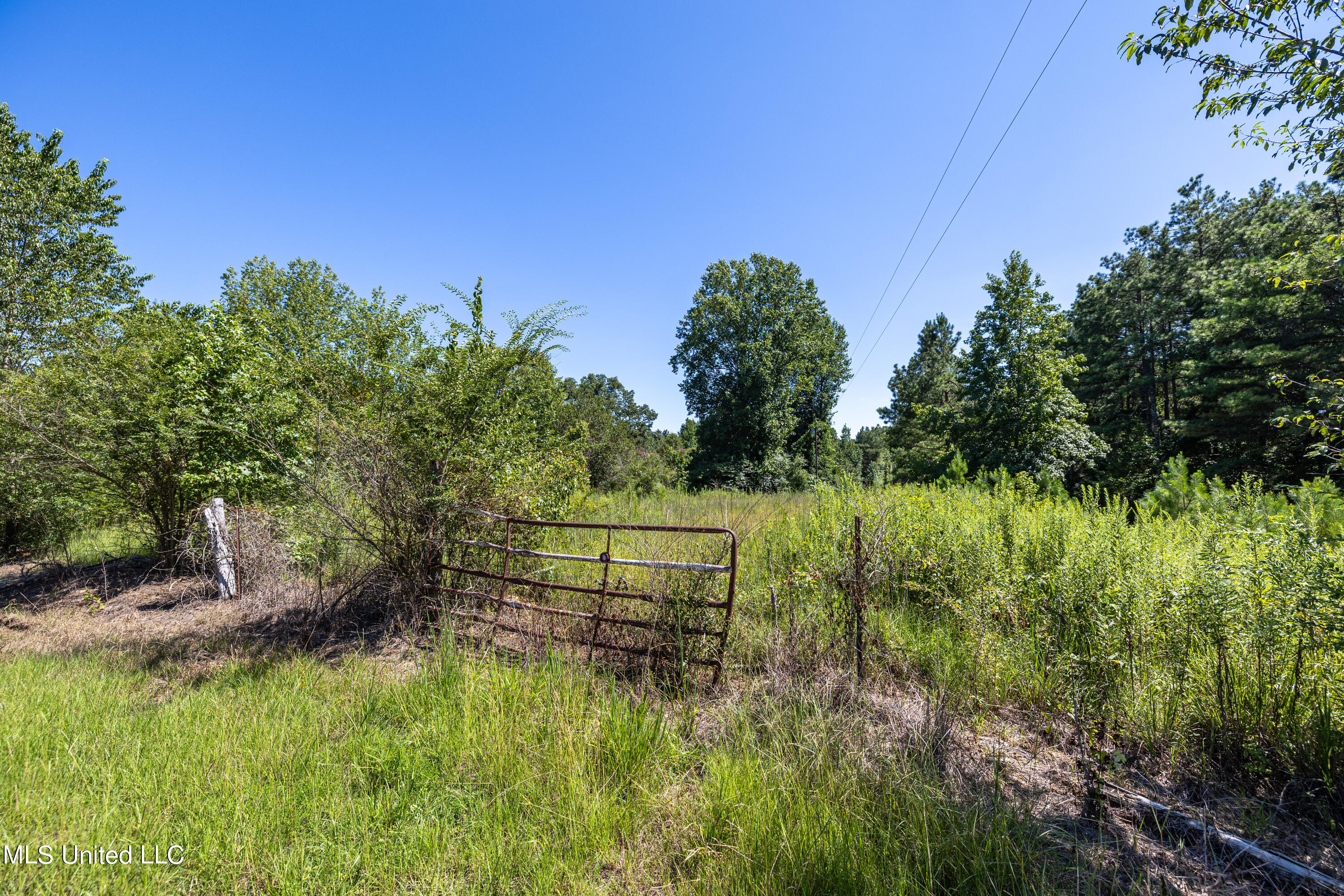 803 McCauley Road Holly Springs, MS 38635 - Photo 10 of 14 Mcauley-6