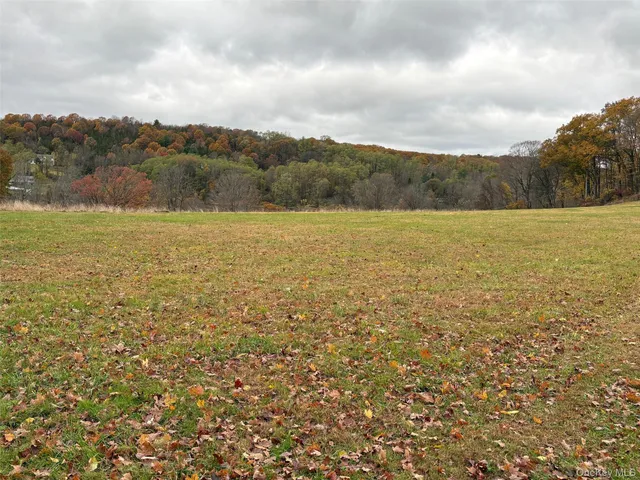 a view of an ocean and beach