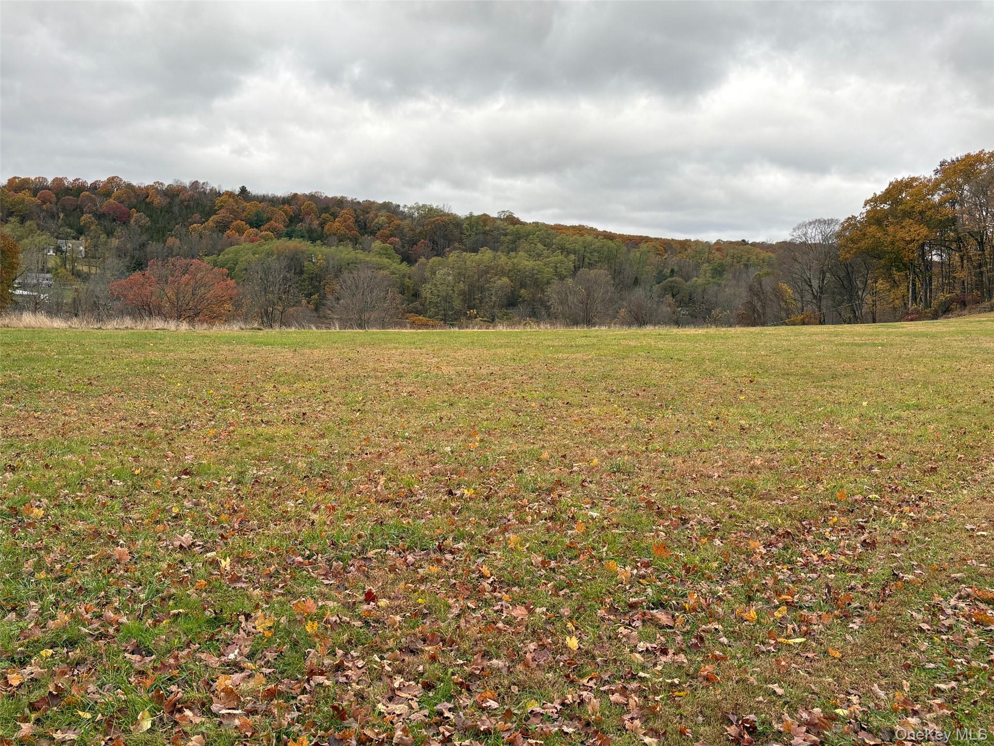 a view of an ocean and beach