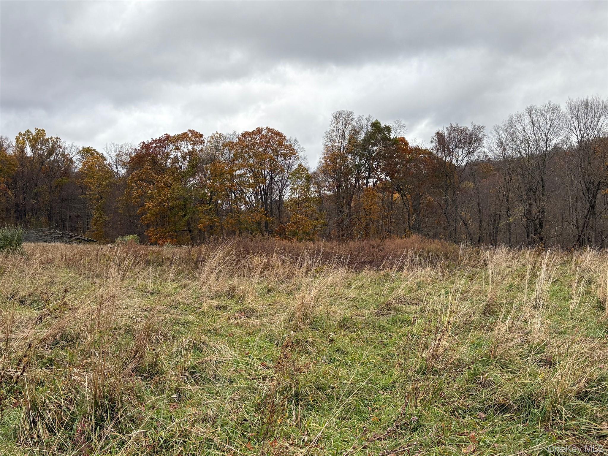 Pleasant Ridge Road Poughquag, NY 12570 - Photo 2 of 5 a view of a yard
