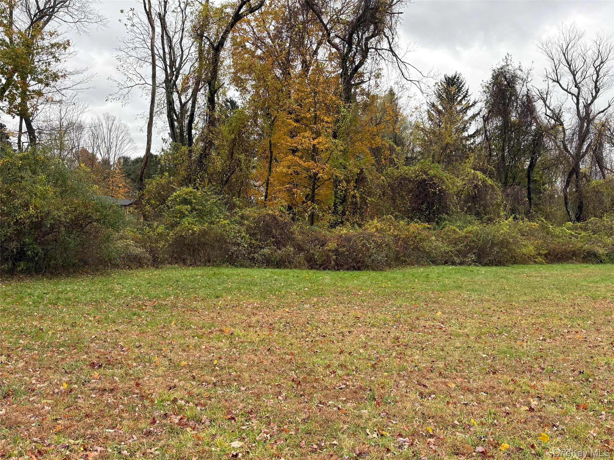 Pleasant Ridge Road Poughquag, NY 12570 - Photo 3 of 5 a view of a field with an trees