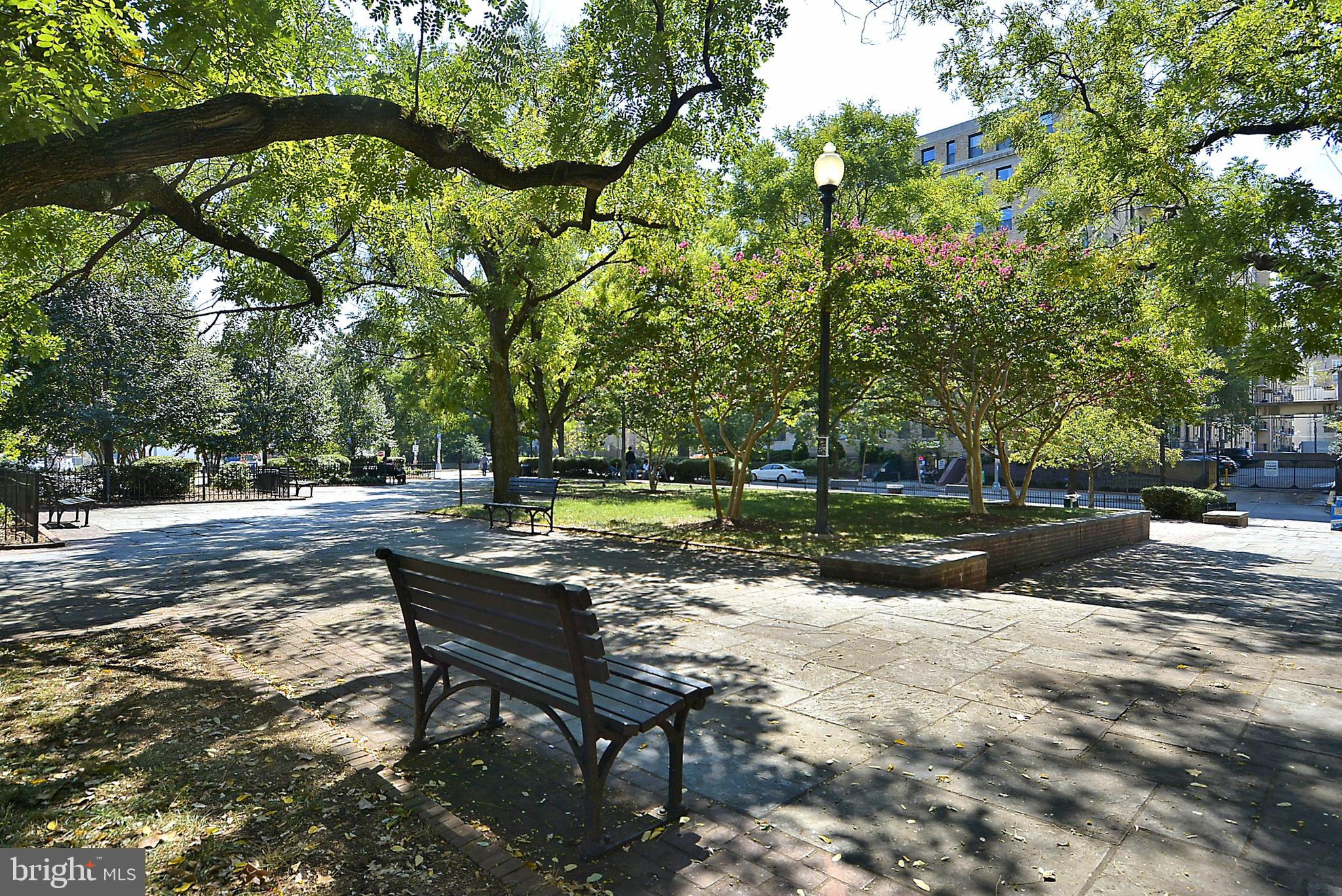 3701 13th Street Northwest, Unit 102 Washington, DC 20010 - Photo 38 of 38 a view of a park with bench and trees