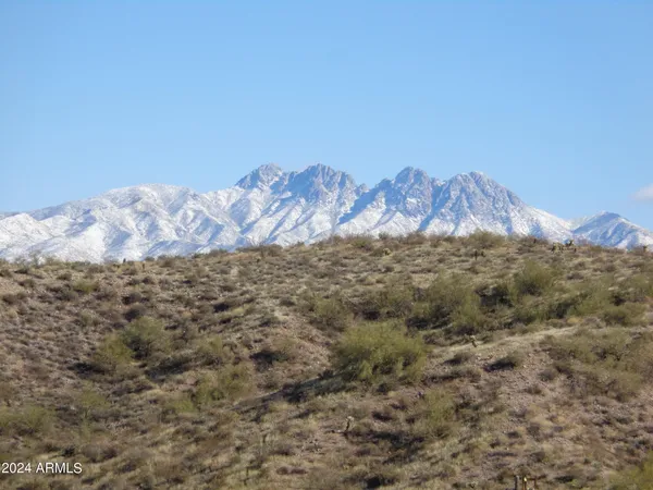 a view of a dry yard with mountains in the background