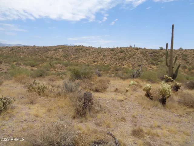a view of a dry yard