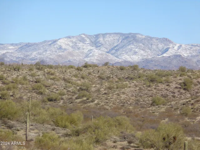 a view of a dry yard