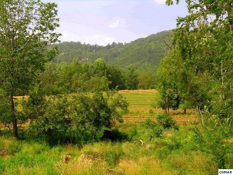 6 Clabo Road Sevierville, TN 37862 - Photo 1 of 1 Gallery Image 1
