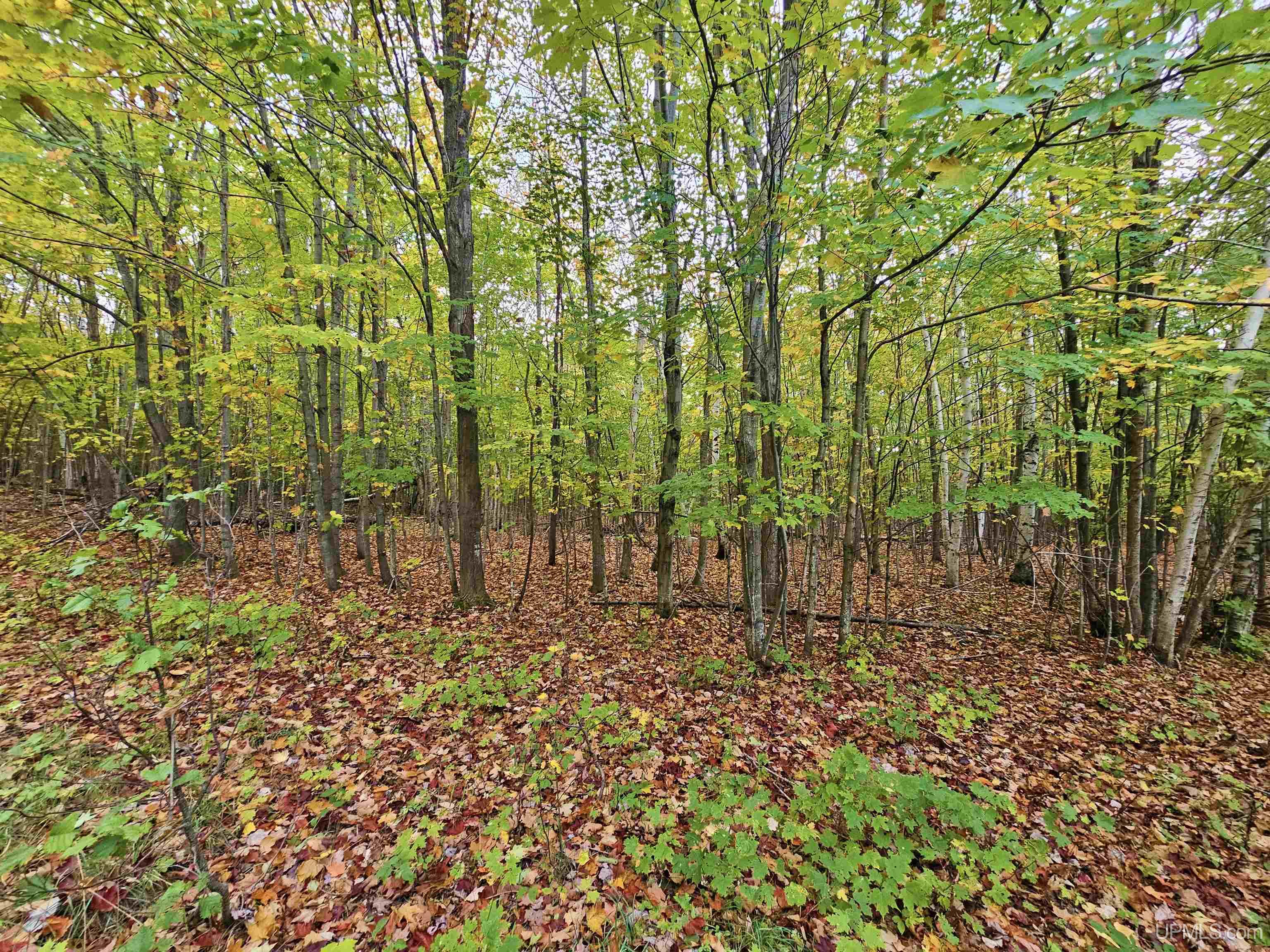 Tbd Bear Lake Road Hancock, MI 49930 - Photo 6 of 17