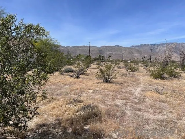 3462 Santa Saba Road, Unit 186 Borrego Springs, CA 92004 - Photo 6 of 7 a view of a dry yard with mountains in the background