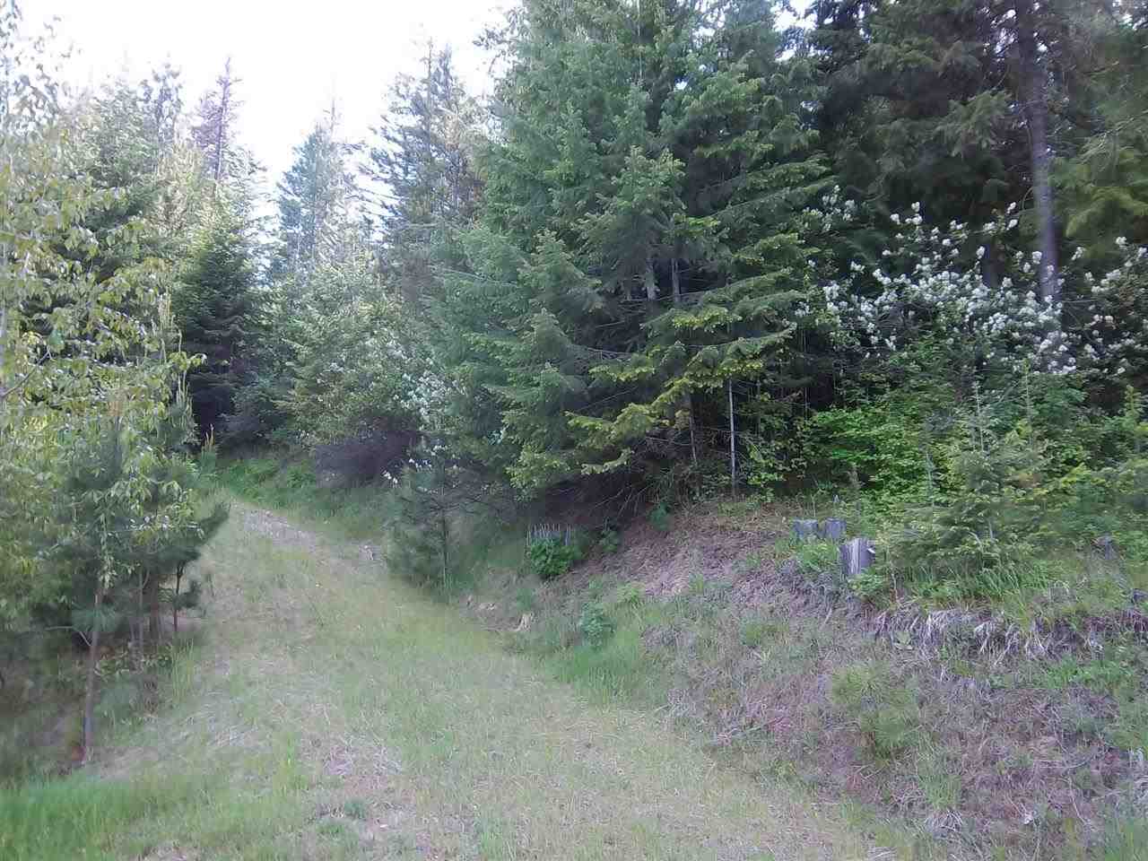 1221 Camden Road Elk, WA 99009 - Photo 19 of 20 Gallery Image 19