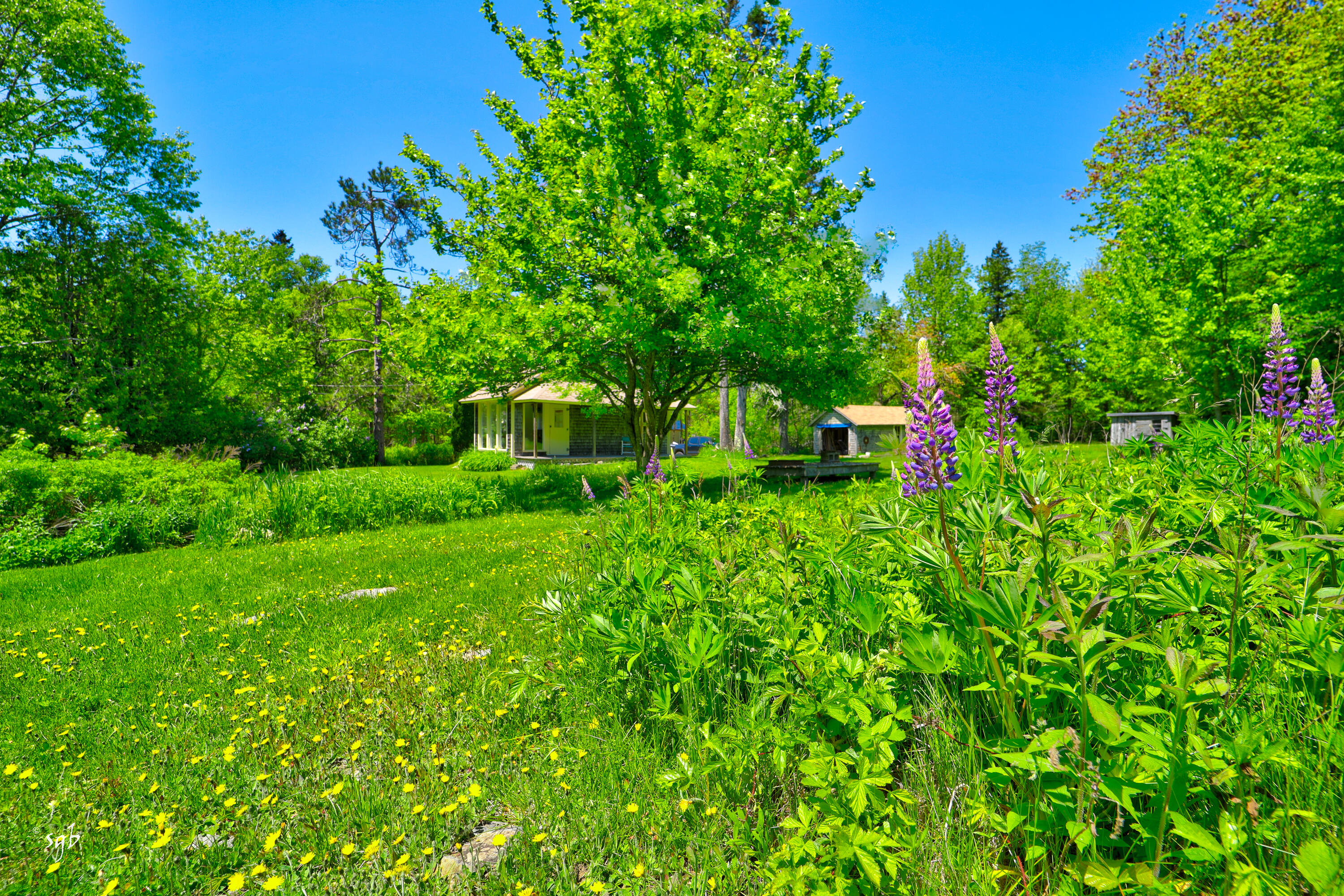 655 Hinckley Ridge Road Blue Hill, ME 04614 - Photo 7 of 24 HinkleyRidgeRoad3