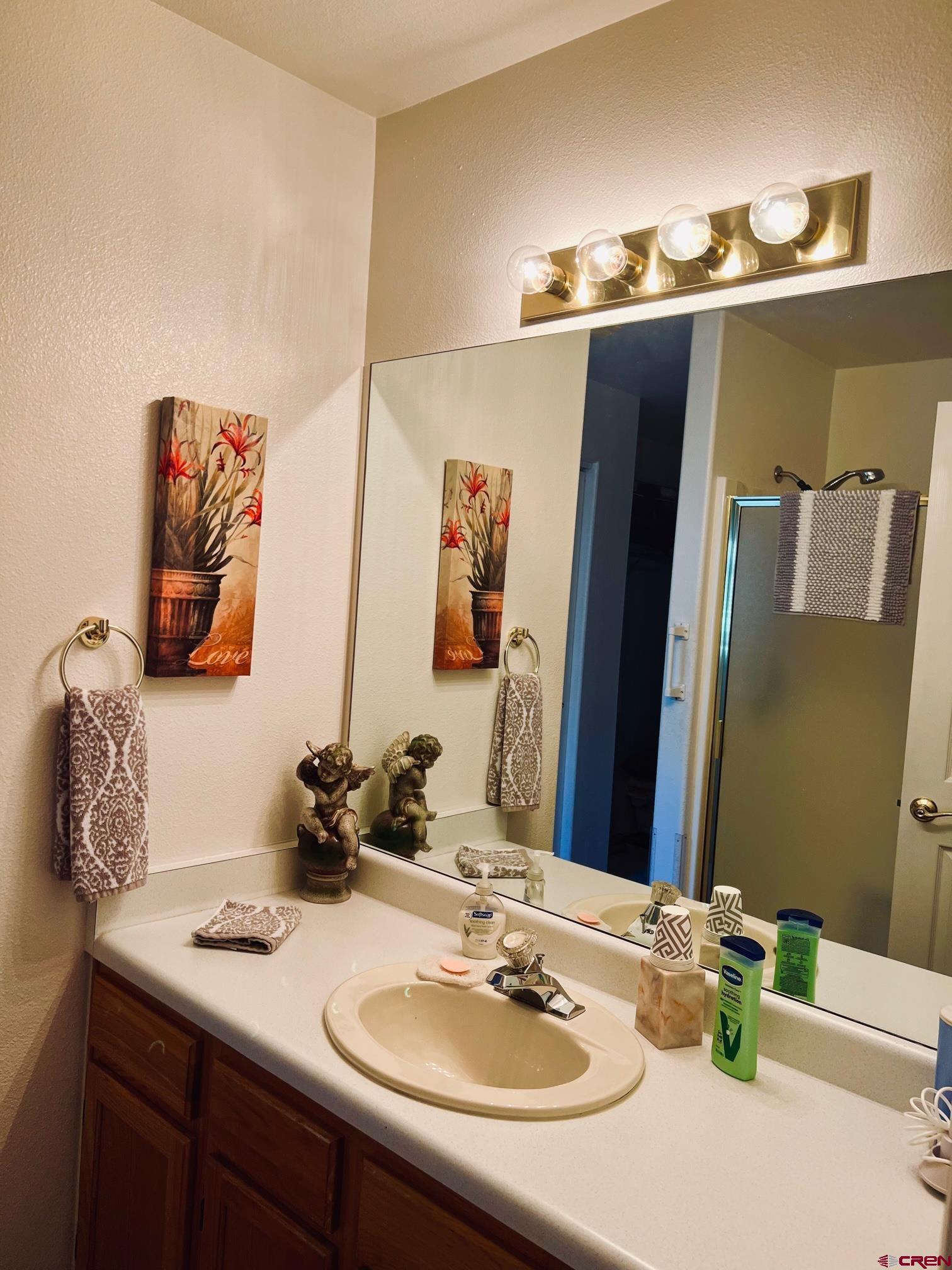 511 Hazel Circle Fruita, CO 81521 - Photo 21 of 24 a bathroom with a sink and a mirror