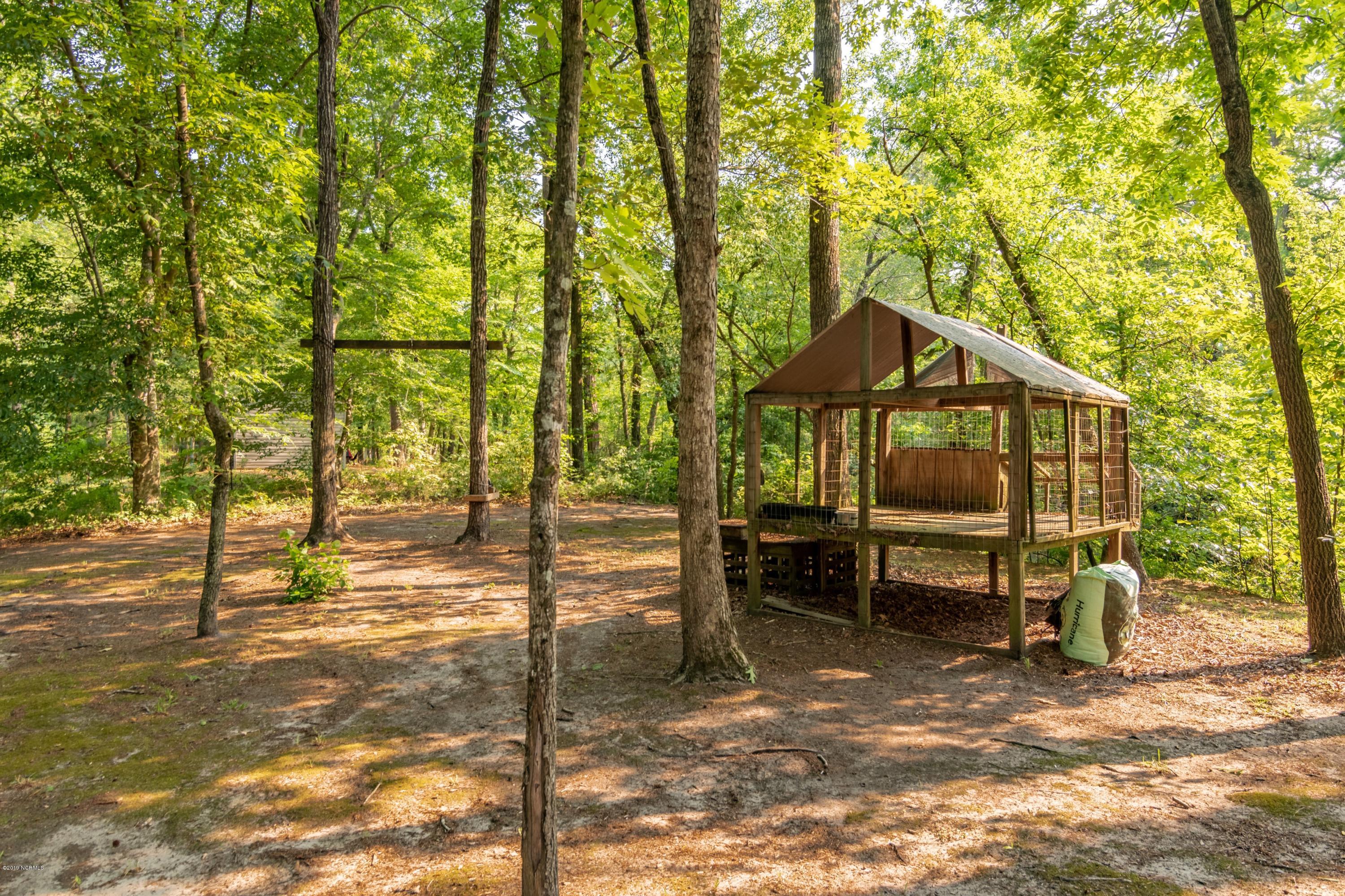 109 Raccoon Run Washington, NC 27889 - Photo 7 of 41 007 backyard view 2