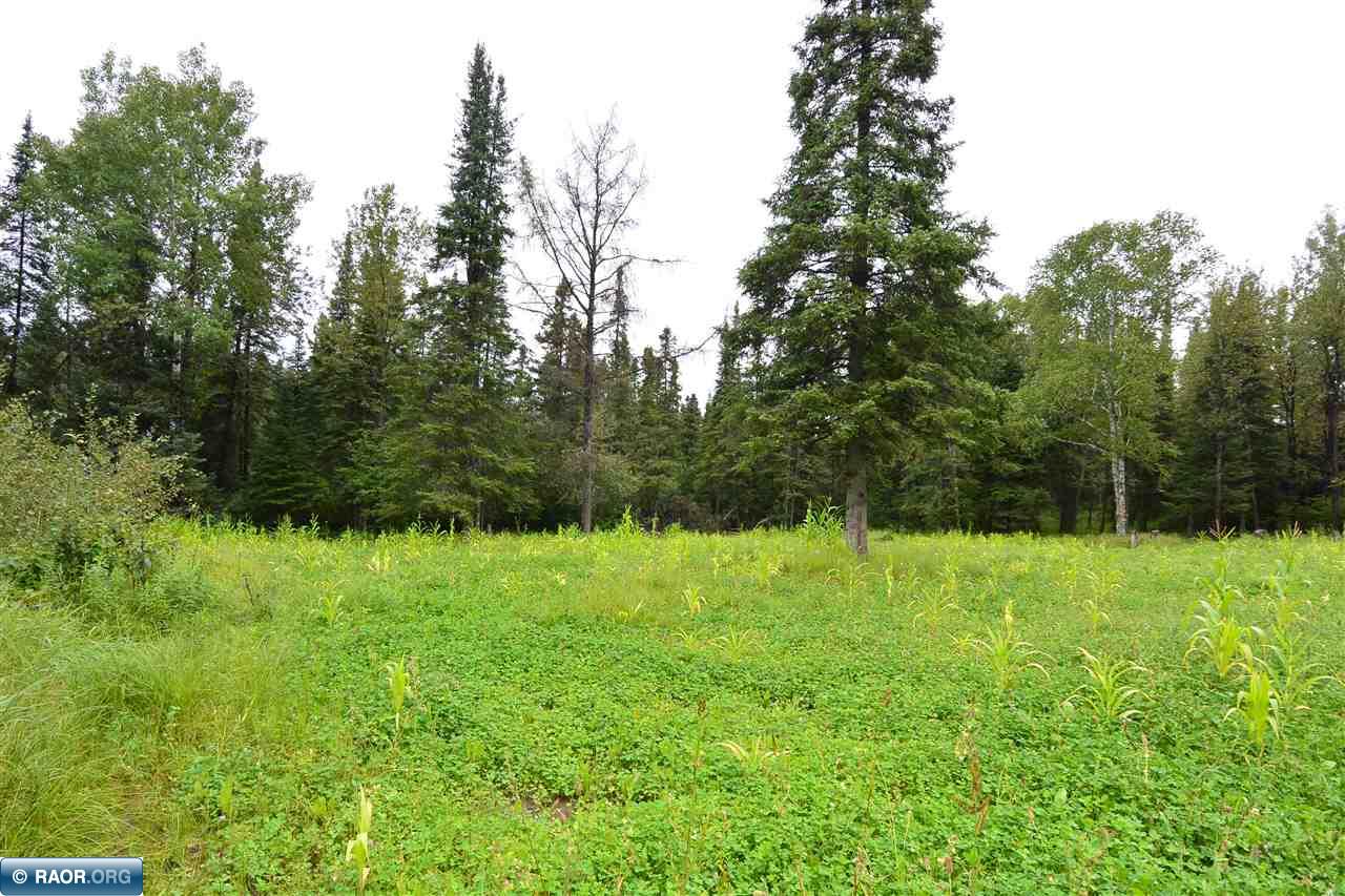 Tbd Maxwell Road Mountain Iron, MN 55768 - Photo 7 of 11 Gallery Image 7