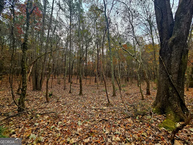 a view of outdoor space with lots of trees