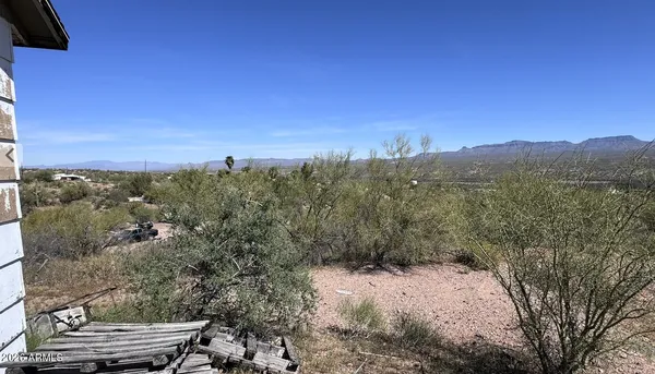 a view of a yard with wooden fence