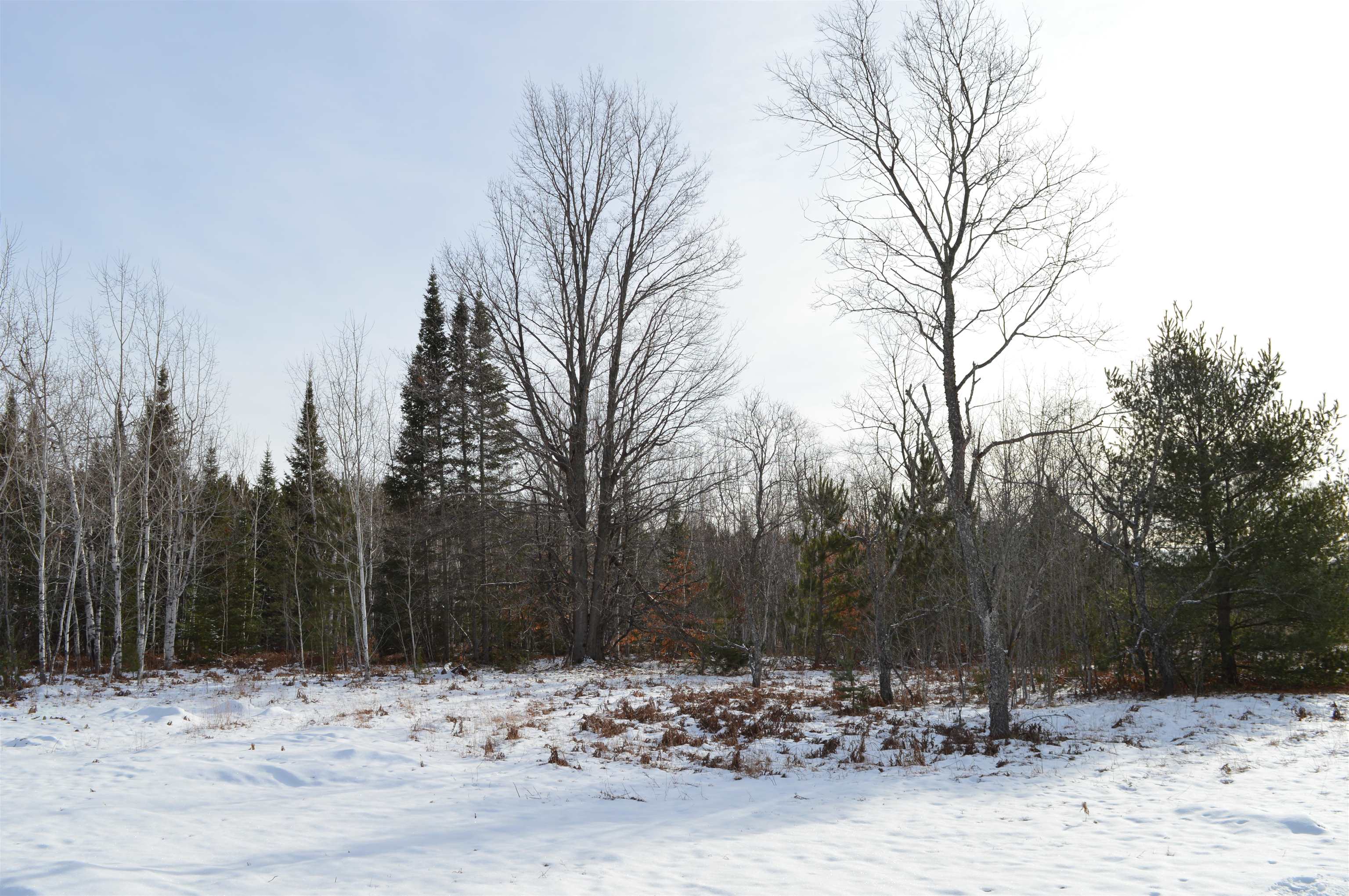 Off Wood Road Northeast Kalkaska, MI 49646 - Photo 19 of 22