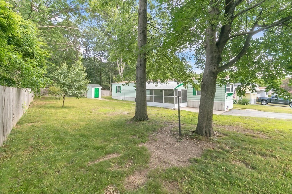 46 Contessa Lane Springfield, MA 01119 - Photo 4 of 25 a view of a yard with a tree