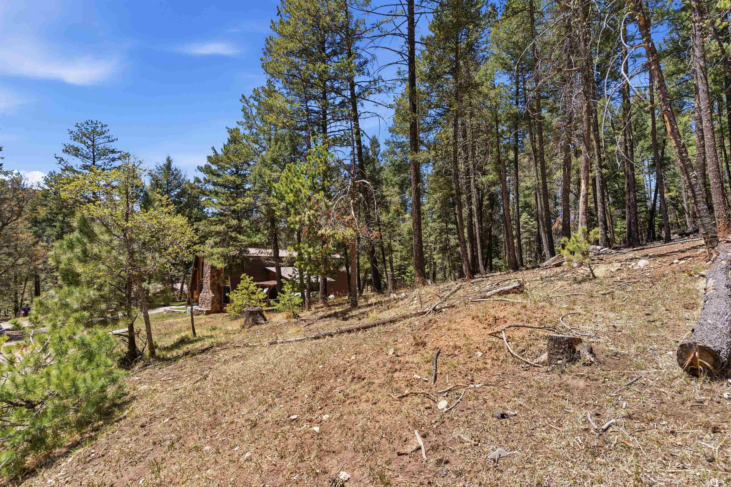 5 Bear Spring Road Cloudcroft, NM 88317 - Photo 50 of 50 Gallery Image 50