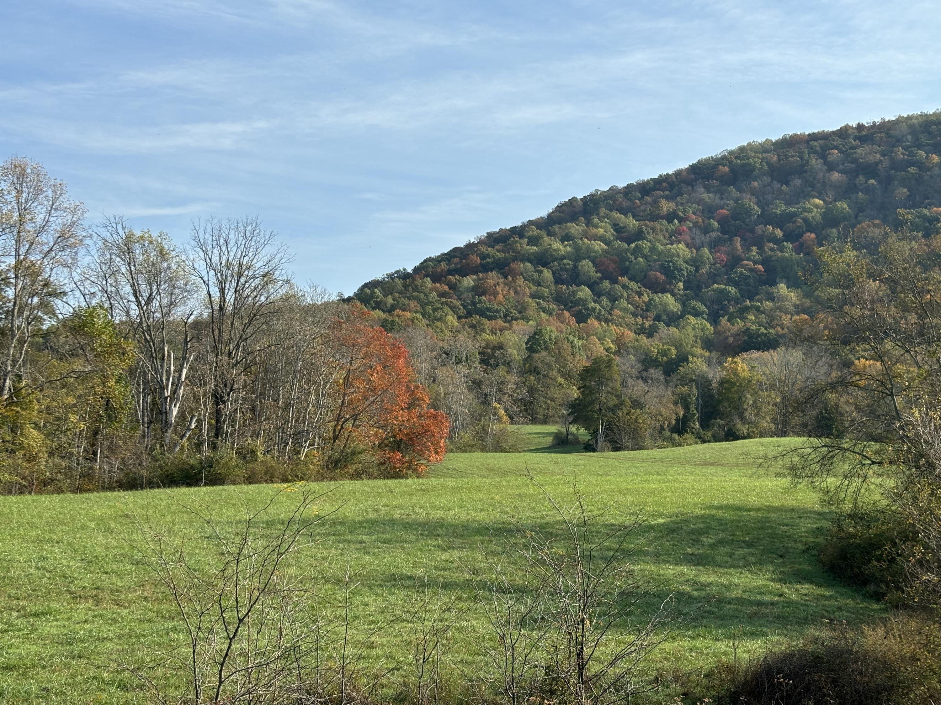 7778 Upper East Valley Road Spring City, TN 37381 - Photo 39 of 60 IMG_6455
