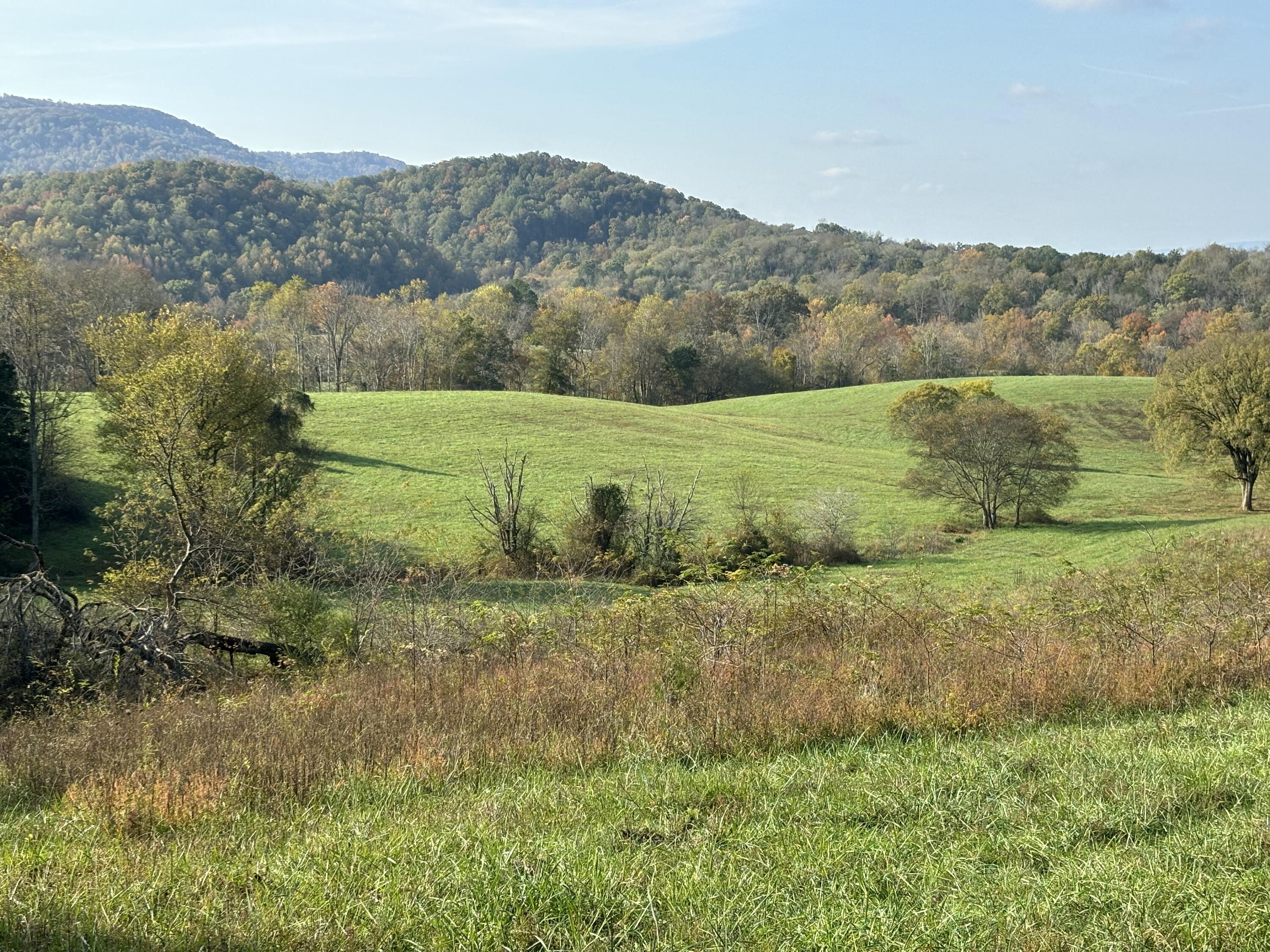 7778 Upper East Valley Road Spring City, TN 37381 - Photo 42 of 60 IMG_6462