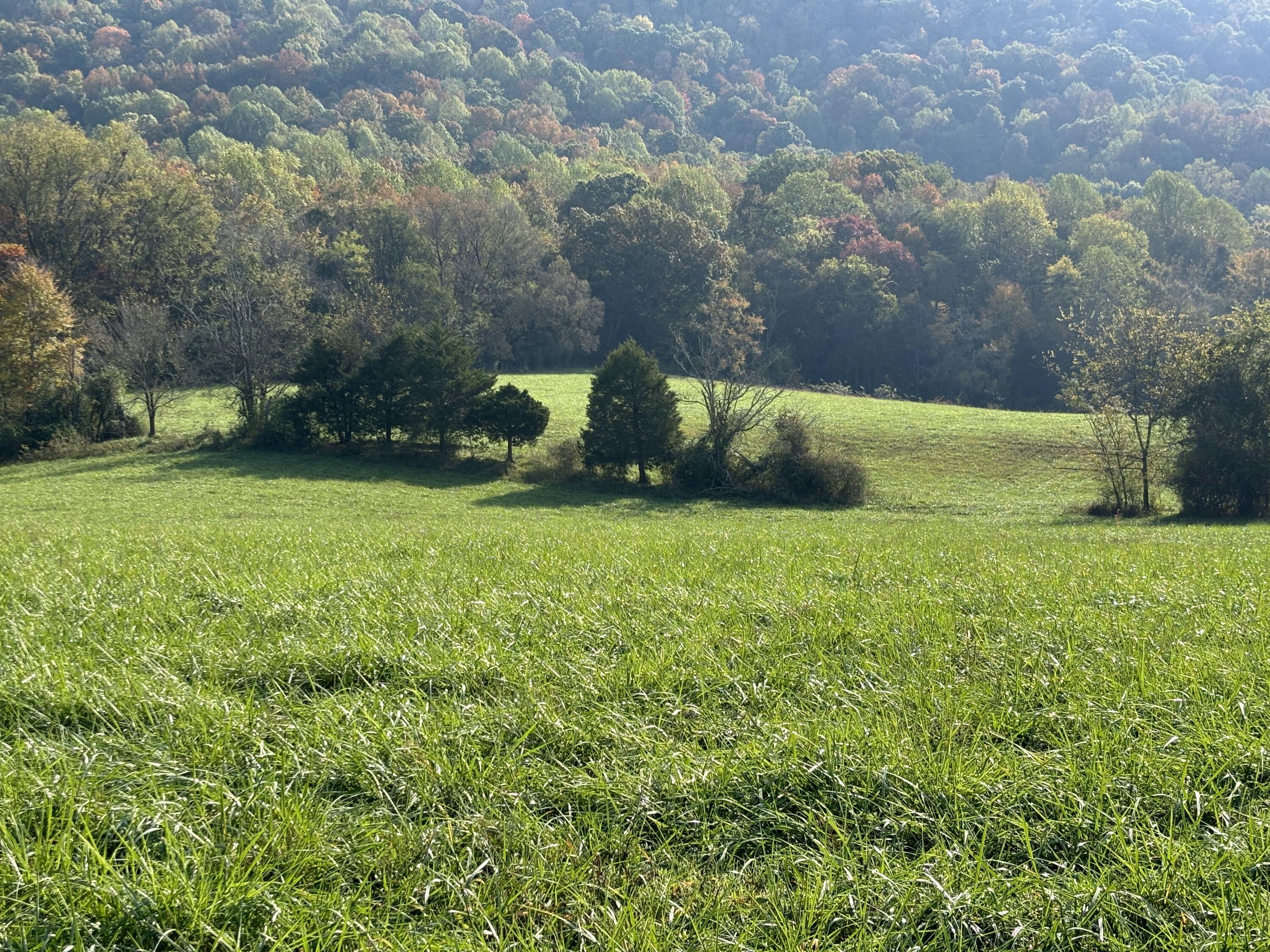 7778 Upper East Valley Road Spring City, TN 37381 - Photo 45 of 60 IMG_6468