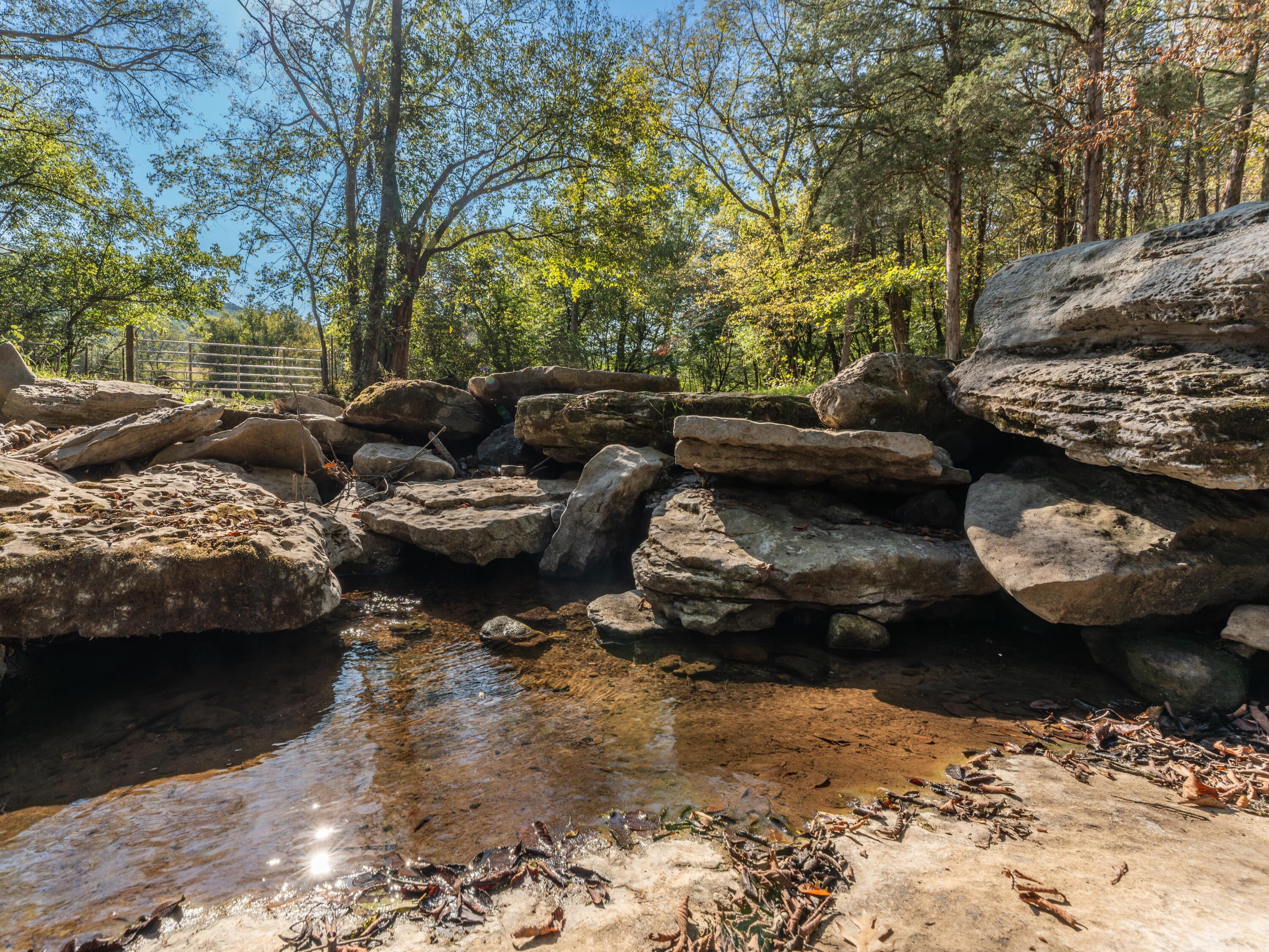 7778 Upper East Valley Road Spring City, TN 37381 - Photo 50 of 60 DSC00113-Enhanced-NR