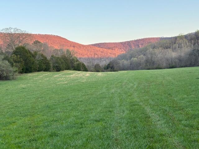 7778 Upper East Valley Road Spring City, TN 37381 - Photo 60 of 60 IMG_7212