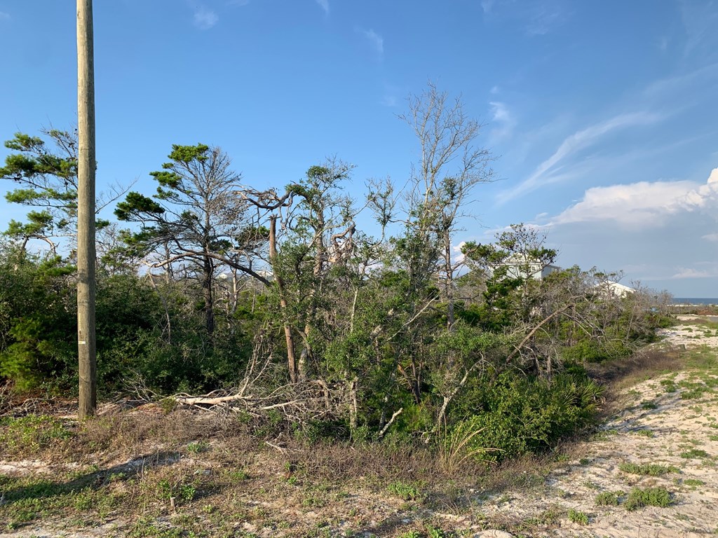 1 Cape San Blas Road Port St. Joe, FL 32456 - Photo 3 of 10