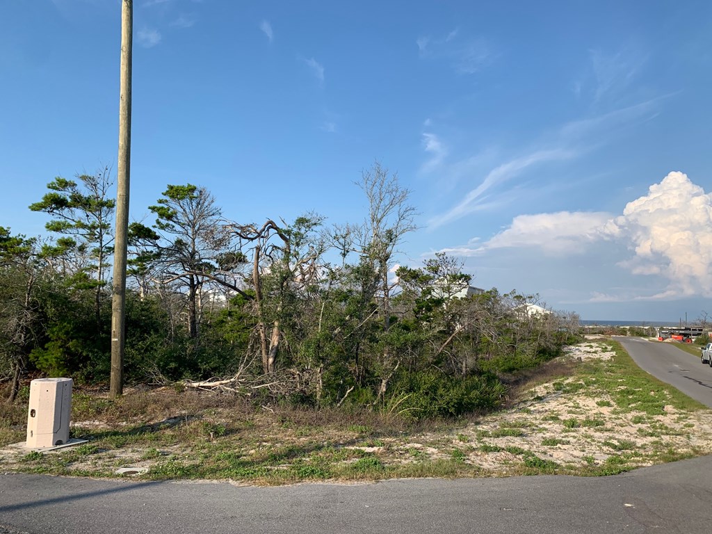 1 Cape San Blas Road Port St. Joe, FL 32456 - Photo 4 of 10