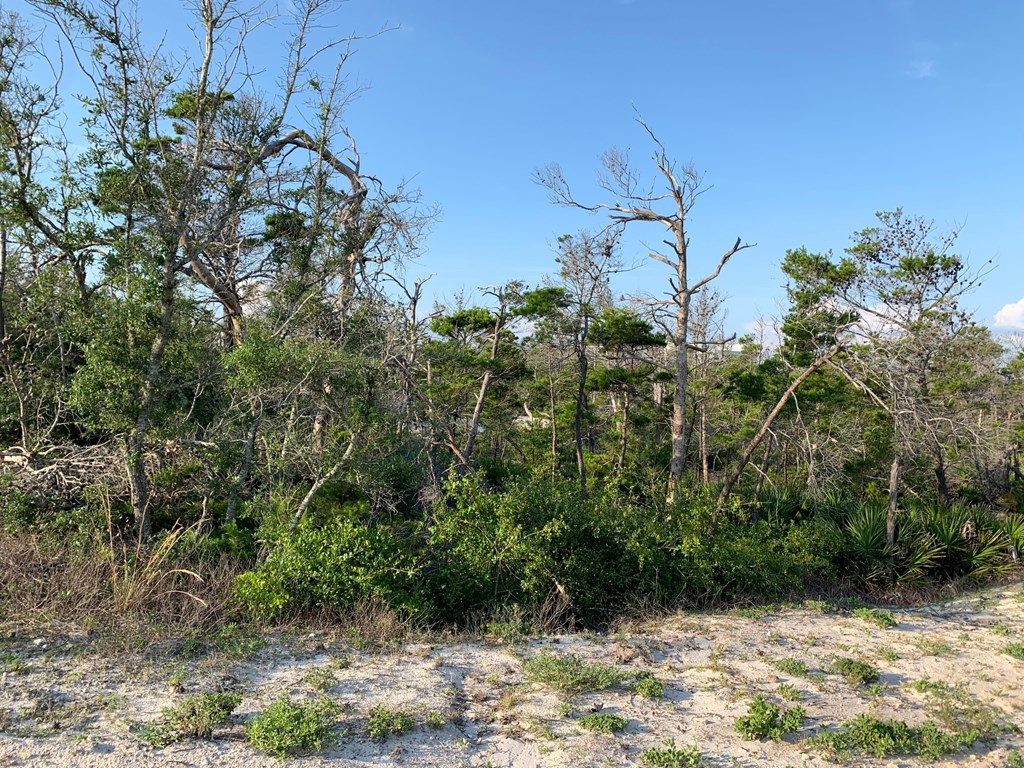 1 Cape San Blas Road Port St. Joe, FL 32456 - Photo 5 of 10