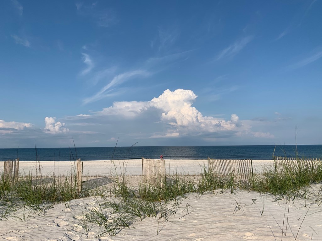 1 Cape San Blas Road Port St. Joe, FL 32456 - Photo 8 of 10