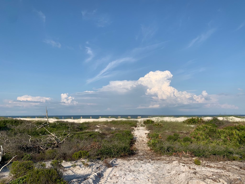 1 Cape San Blas Road Port St. Joe, FL 32456 - Photo 9 of 10