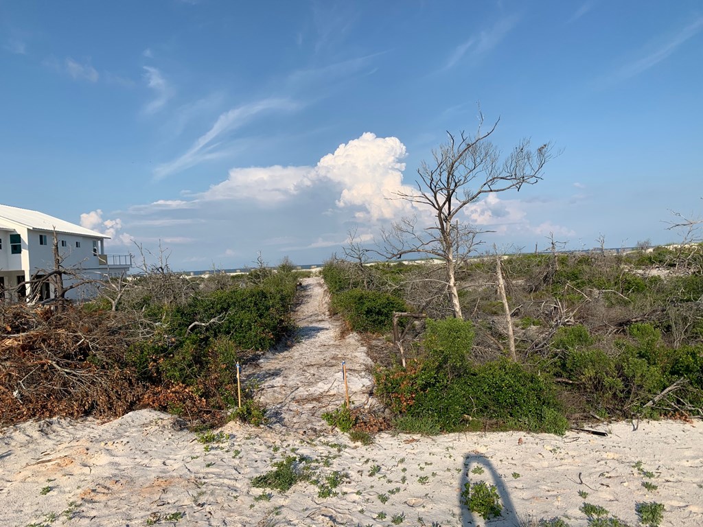 1 Cape San Blas Road Port St. Joe, FL 32456 - Photo 10 of 10