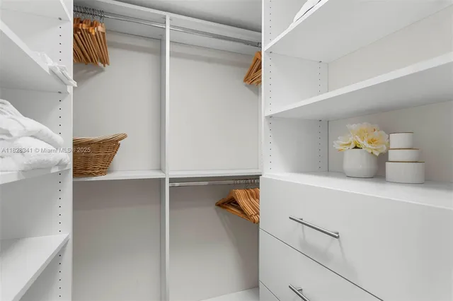 a view of a park with palm trees