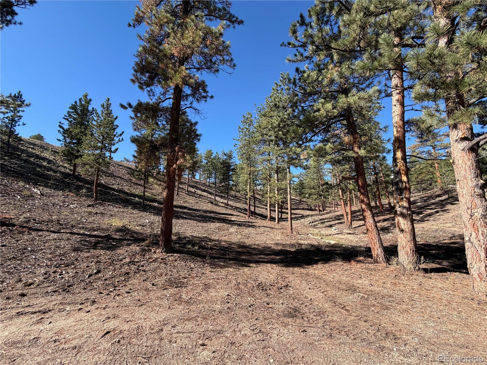 Dry Gulch Road Nathrop, CO 81236 - Photo 6 of 20 Gallery Image 6
