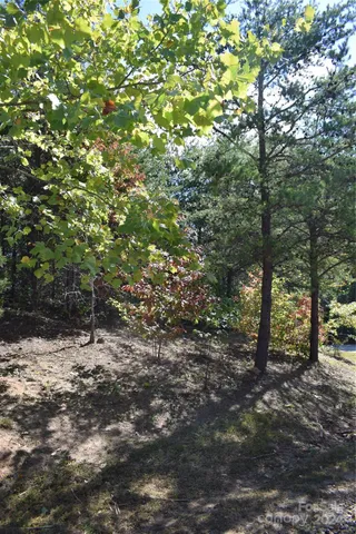 $90,000 | 0 Holland Drive, Unit 3, Columbus, NC 28722