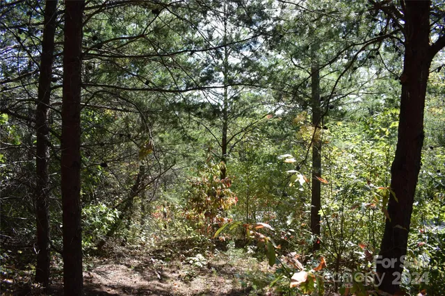 $90,000 | 0 Holland Drive, Unit 3, Columbus, NC 28722