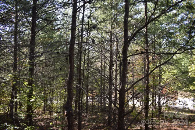 $90,000 | 0 Holland Drive, Unit 3, Columbus, NC 28722