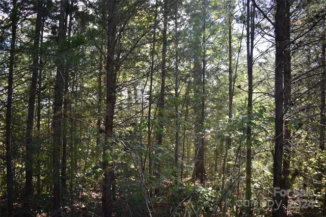 $90,000 | 0 Holland Drive, Unit 3, Columbus, NC 28722