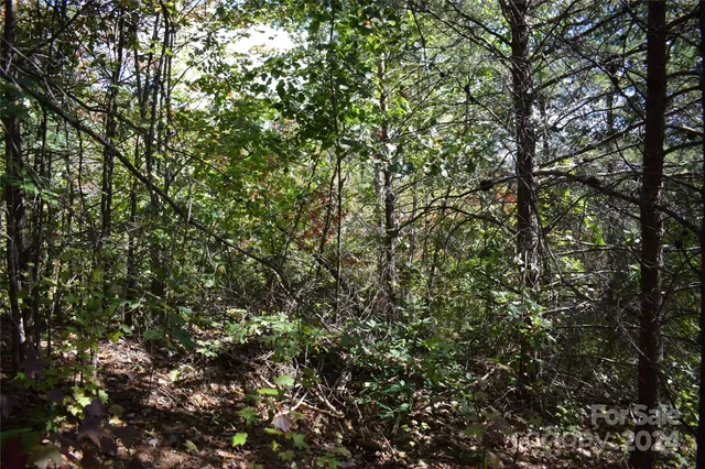 $90,000 | 0 Holland Drive, Unit 3, Columbus, NC 28722