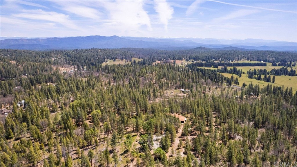 10379 McMahon Road Coulterville, CA 95311 - Photo 17 of 63 a view of a city with lots of trees