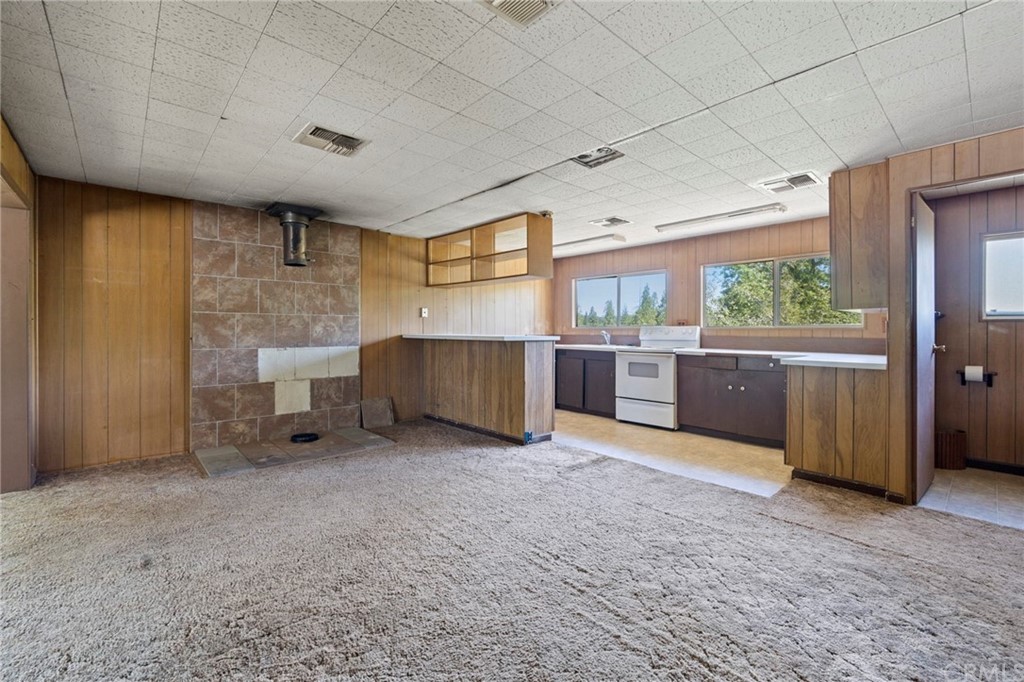 10379 McMahon Road Coulterville, CA 95311 - Photo 46 of 63 a view of an empty room with a fireplace and a window