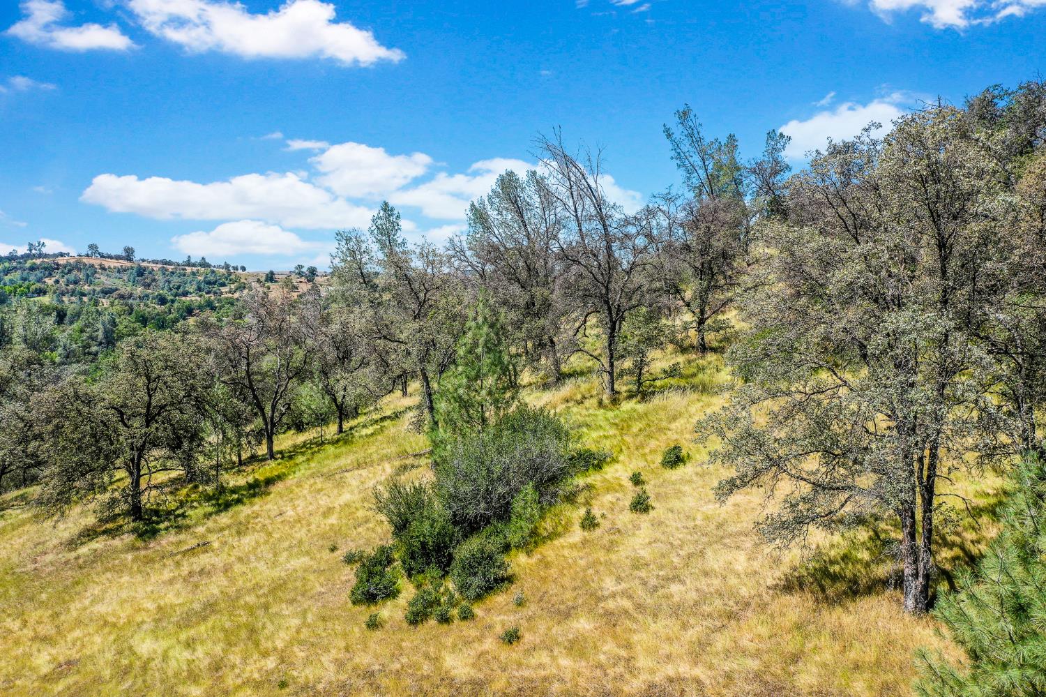 29 Township Road Browns Valley, CA 95918 - Photo 39 of 62 Gallery Image 39