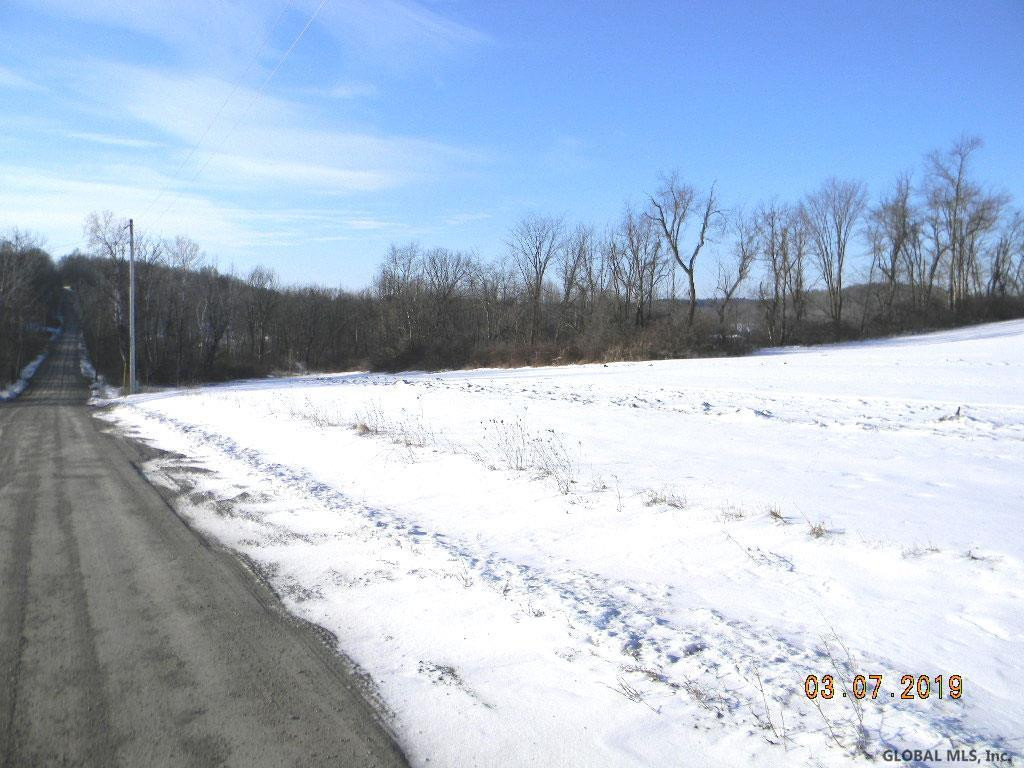 0 Rabbit Road Greenwich, NY 12834 - Photo 8 of 12 Photo 8