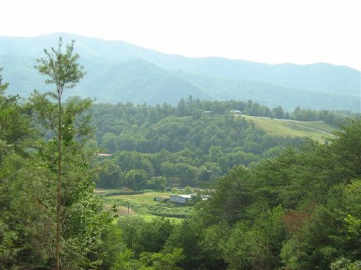Summer House Hollow Road Del Rio, TN 37727 - Photo 1 of 1 Primary Photo