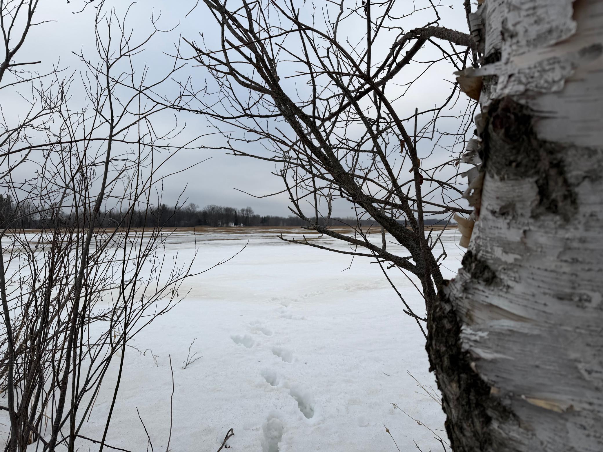 Tbd-b 180th Street Milaca, MN 56353 - Photo 46 of 80