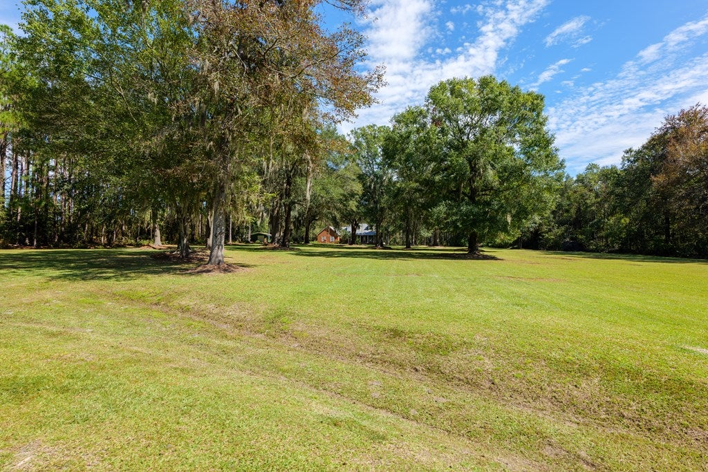 6310 Peters Road Ray City, GA 31645 - Photo 64 of 69 Gallery Image 64